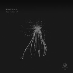 03. MarekSPolzki - After Forever (Original Mix)