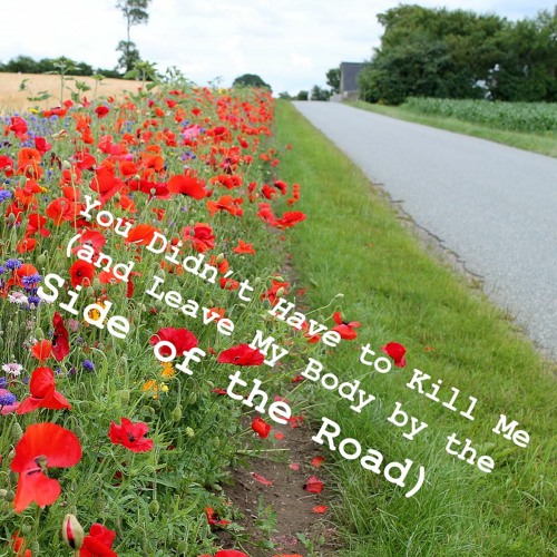 You Didn't Have to Kill Me (and Leave My Body by the Side of the Road)