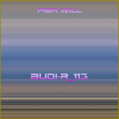 AUDI-R_113