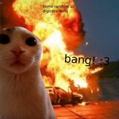 BANG! 💥 (p. kittyflower)
