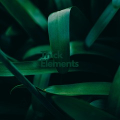 Thick Elements | Sound Bites 23