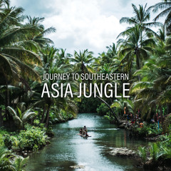 Undisturbed Peace of Indonesian Jungle