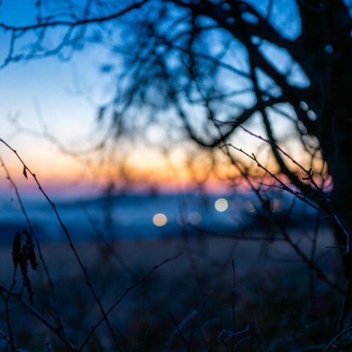 Bl@me it on the Night