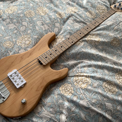 Travel Later (PP 2025 Lvl 3, #2) - 3_25_25, 22.29