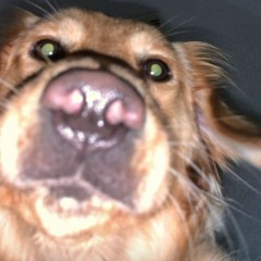 Tunnel Vision Prod. By RRAREBEAR