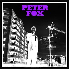 Peter Fox-Schüttel Dein Speck_Breakbeat remix