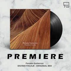 PREMIERE: Fermín Gutierrez - Divino Pasaje (Original Mix) [ASYMMETRIC RECORDINGS]
