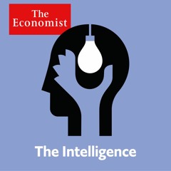 A year at war - The Intelligence - The Economist