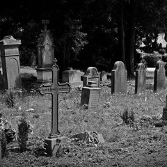 STRAIGHT TO GRAVEYARD
