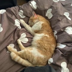 oscar - nu vreau 25+