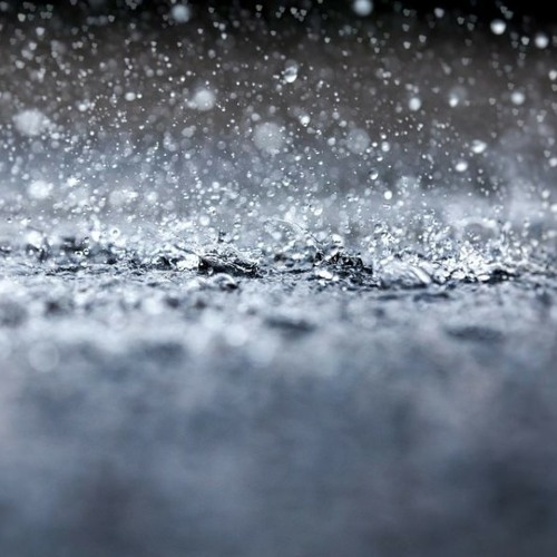 It's a good day for rain. Improv #3