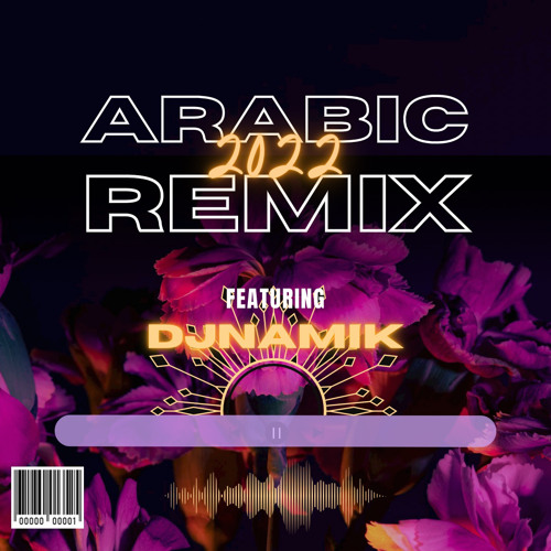 turkish dj remix songs 2022