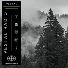 Vestal Radio 7 [MC4D/Morgan Wallen/Joel Corry/Anyma]