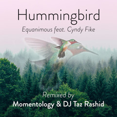 Hummingbird (Momentology & DJ Taz Rashid Remix) [feat. Cyndy Fike]