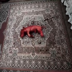 _̥̊⃝͙̥̊⃝̥ͦ̊⃝̳̥̊⃝̥̎̊⃝̥ͧ̊⃝̥́̊⃝̯̥̊⃝̥͂̊⃝̷̥̊⃝