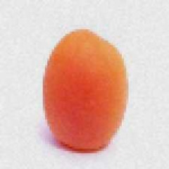 APRICOT DUB