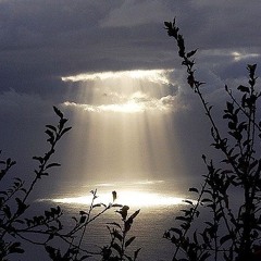 Kamavji - Majesty (100raxss)