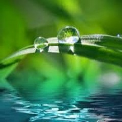 relax :: being :: peace :: happiness