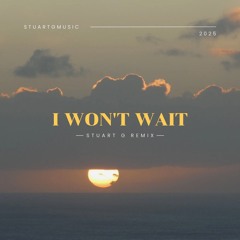 I Wont Wait (Remix)