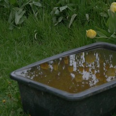 World Characters Stations Solastalgia