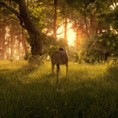 A Thousand Lifetimes (Live Looping)