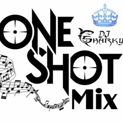 One Shot Mix ( 20min Live ) Good Vybz By Dj Sharky