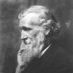 ScHoolboy Q - JoHn Muir // Lxrdfxith Cover