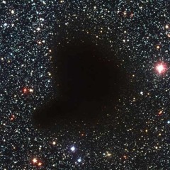 Flowering Void