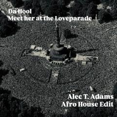Da Hool - Meet her at the Loveparade (Alec T. Adams Afro House Edit) Free download