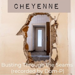 Cheyenne - Busting Through the Seams (recorded by Dom-P)