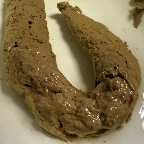 BooBoo Zone Brainwashing 3