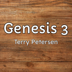 Genesis 3, English, Terry Petersen, September 10, 2025, Lake City, FL USA