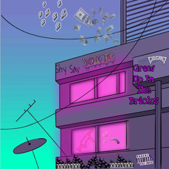 Grew Up In The Bricks