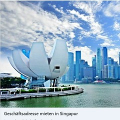 Singapore's Secret The Strategic Expansion of Family Business Owners and Entrepreneurs from Germany