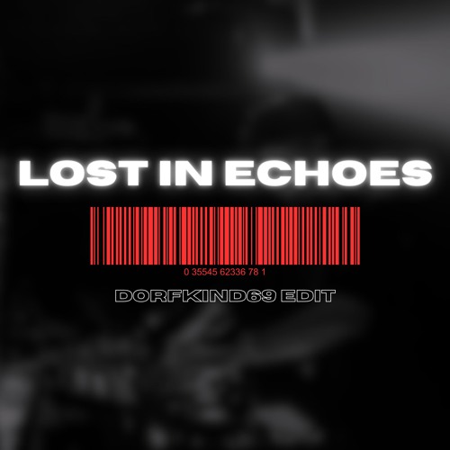 FREE DL: Lost In Echoes (DORFKIND69 Hard-Techno Edit)