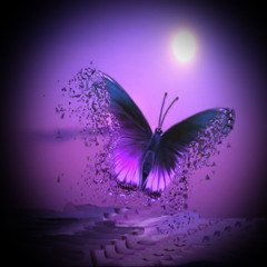 Moments de Vie & Midisound