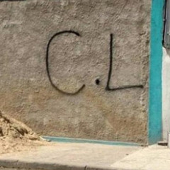 MC LEO ZICA CONEXÃO FORTE