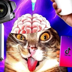 Mybadiwasonmyphoneprodsick.m4a