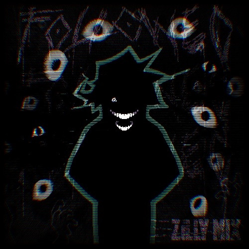 FOLLOWED ZILLY MIX