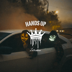 Hands Up - DJ Zetrabex