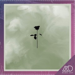 PREMIERE: ENDZ - GAAARDEN (Original Mix) [Black Rose]