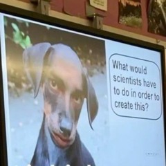 Young pedo first take freestyle/lil n-words caused the 911