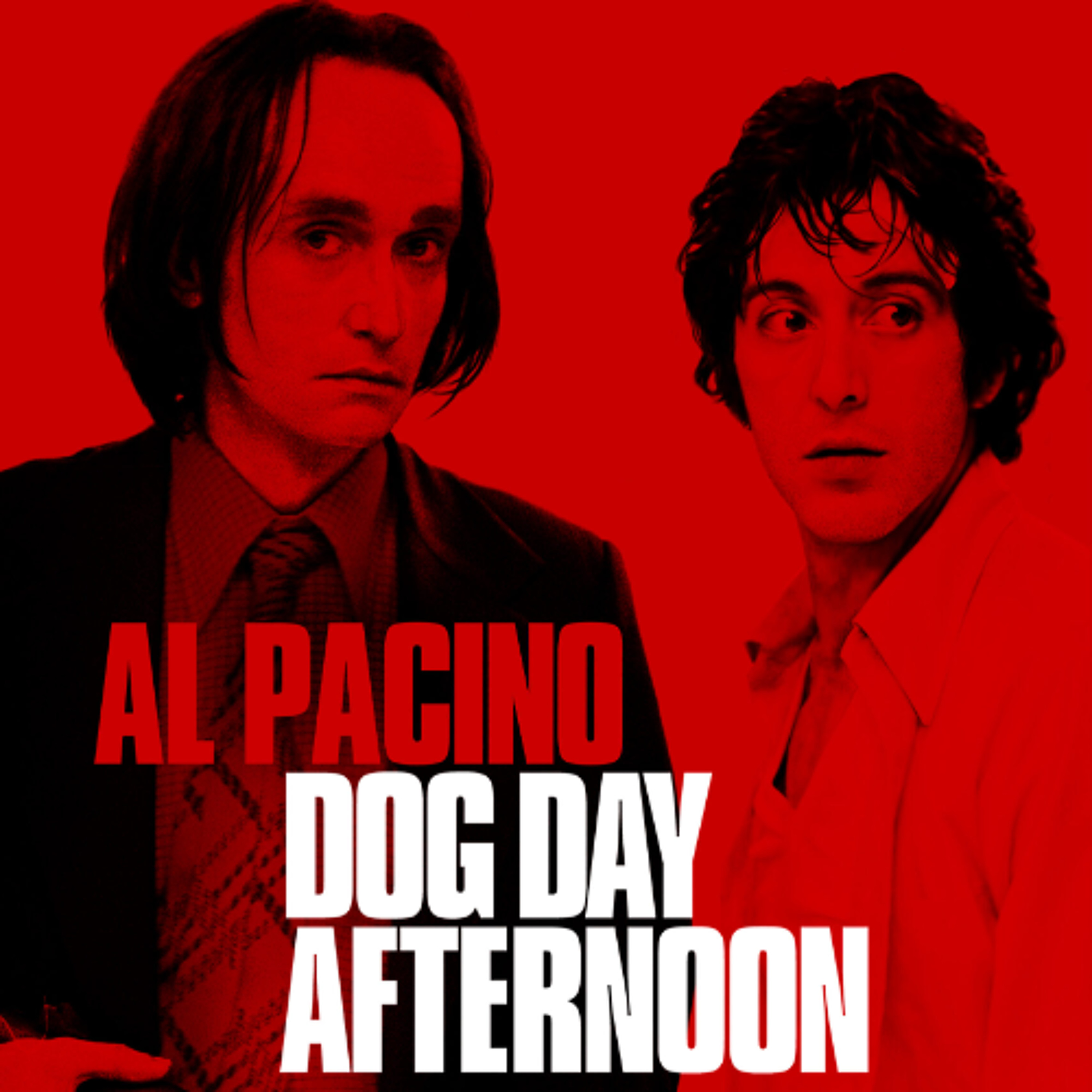 264 - Dog Day Afternoon