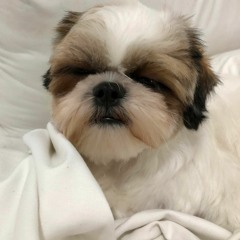 Luna - The Smashing Pumpkins