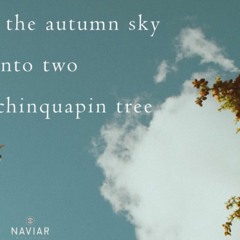 Autumn Sky_Naviarhaiku489