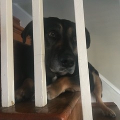 lil kilyn - so many reasons