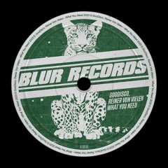 PREMIERE: GooDisco, Reiner Von Vielen - What You Need [Blur Records]