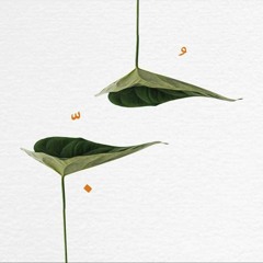 شوية حبايب بدون موسيقى - حمزة نمرة