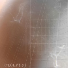(ID)Entity