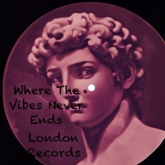 Where The Vibes Never Ends